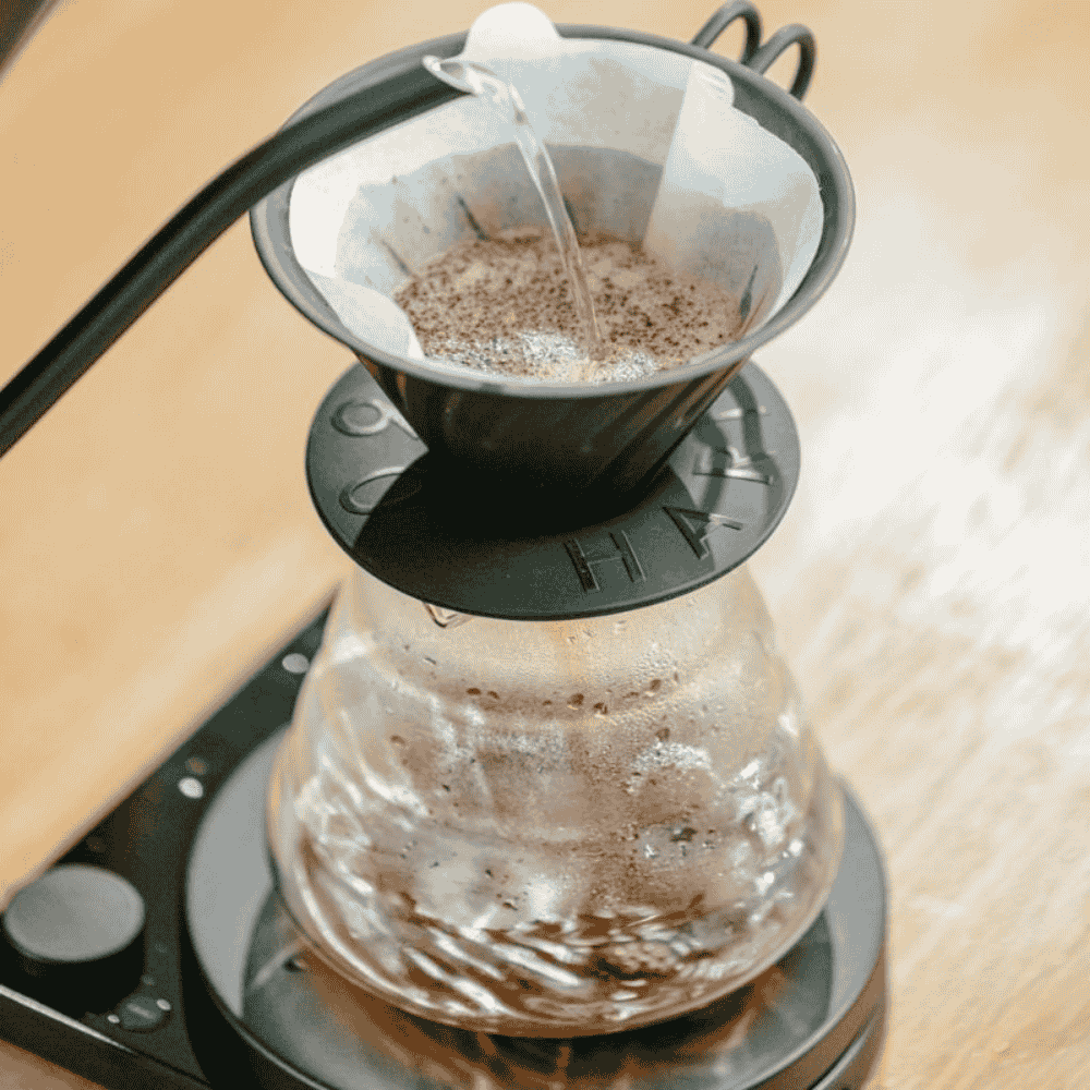 bruer-spectrum-cone-paper-filter (5)