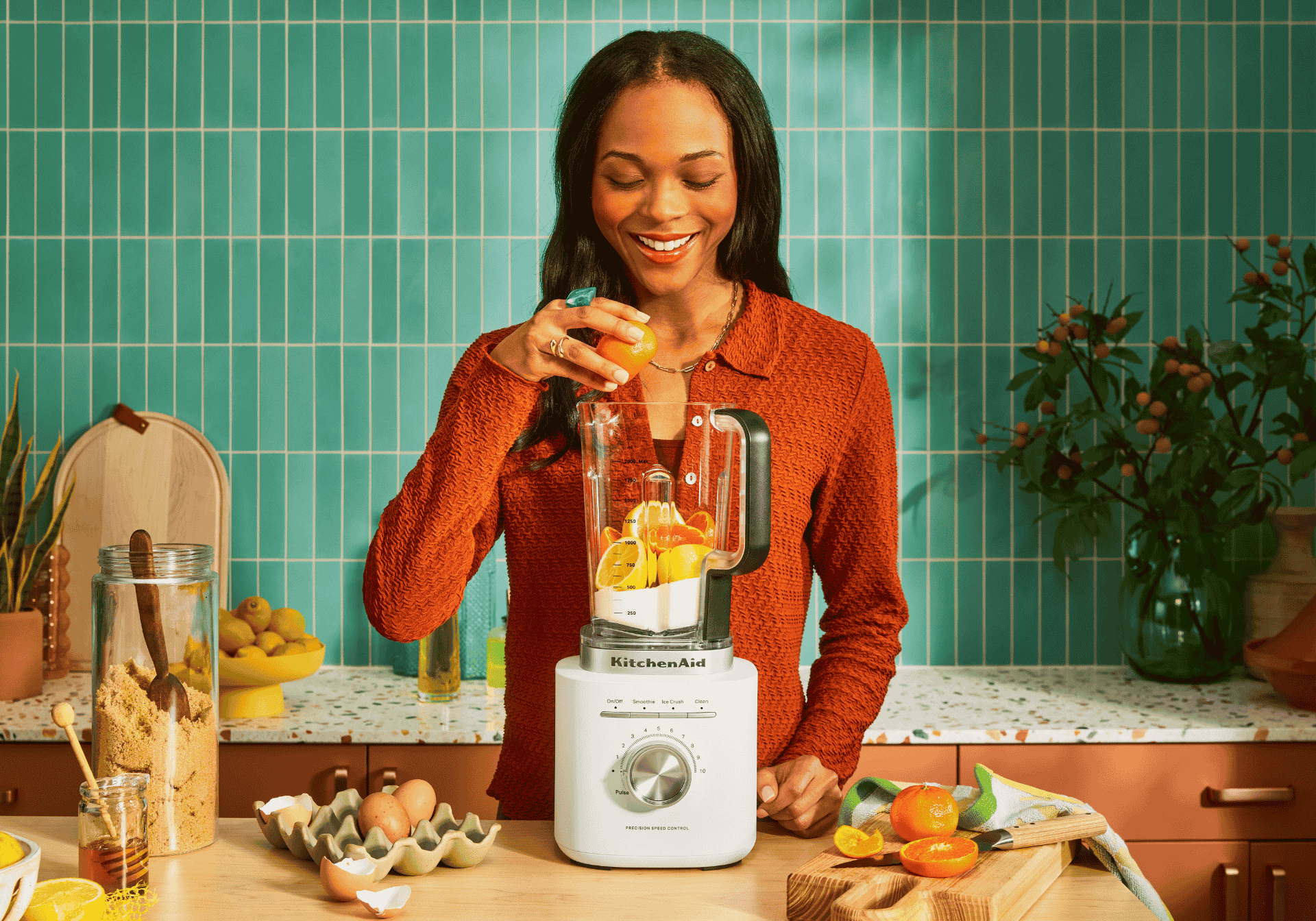 kitchenAid-k200-porcelain-white (1)