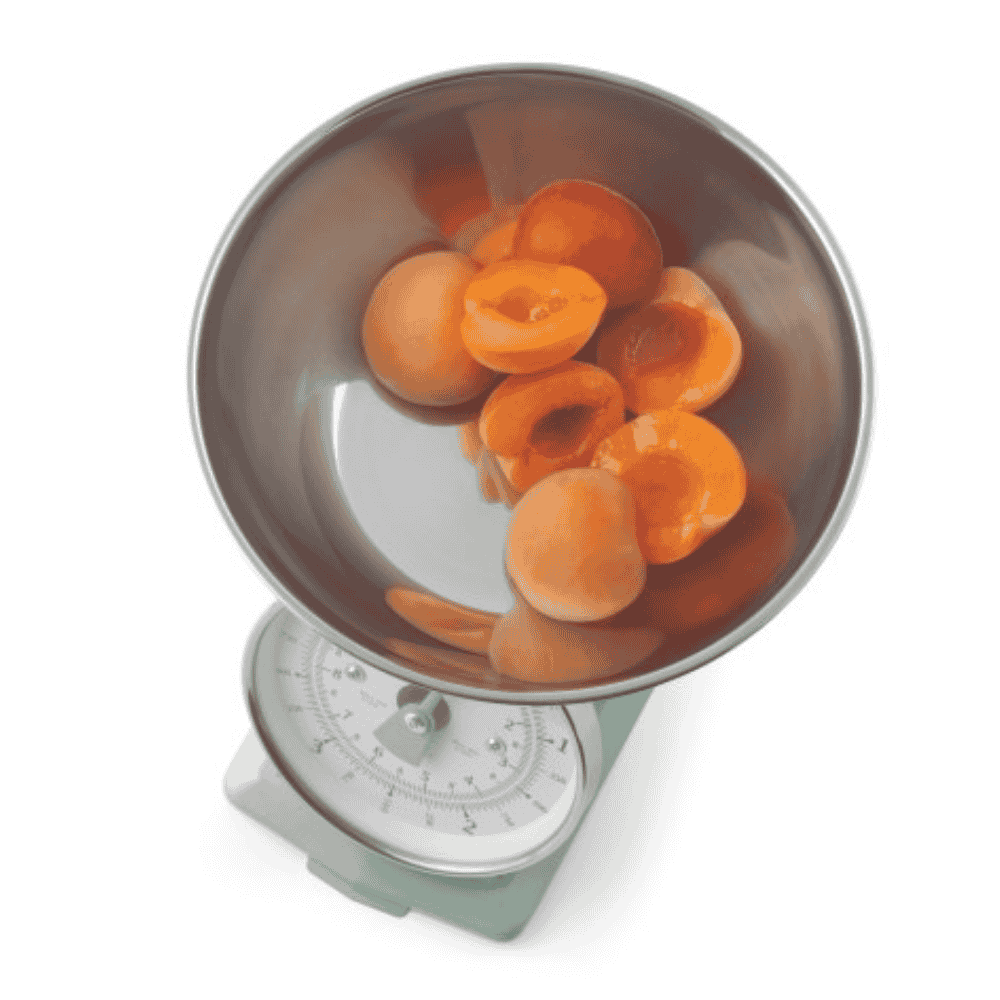 salter-mechanical-scales