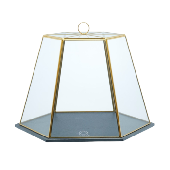 Artesá Glass Serving Cloche with Slate Base