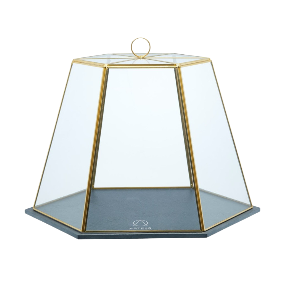 Artesá-Glass-cloche-LTBARTTERRARI (1)