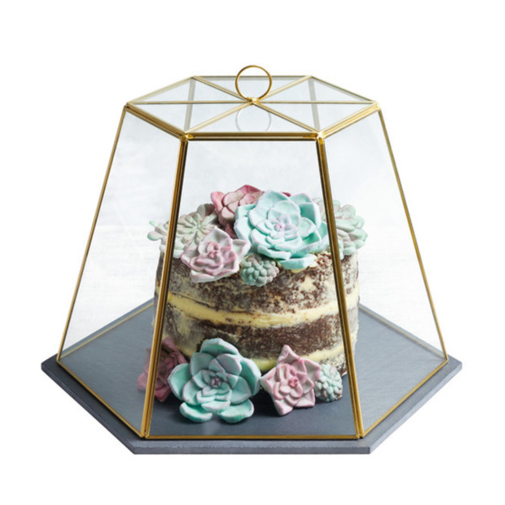 Artesá-Glass-cloche-LTBARTTERRARI