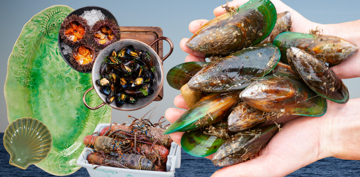 Seasonal Spotlight: The Best Chef Tools for NZ Seafood main image