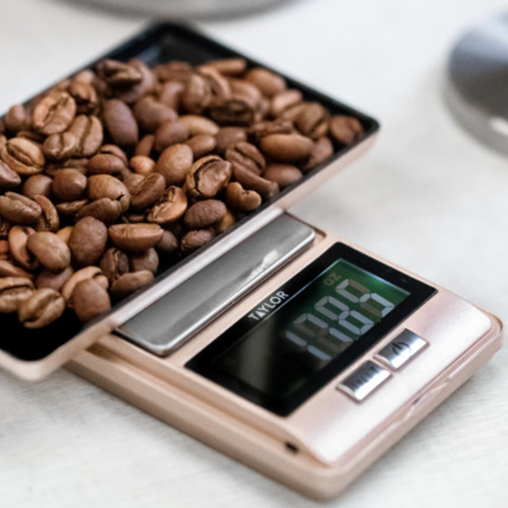 taylor-pro-procision-pocket-scale-LTBTYPSCALE5HP (2)