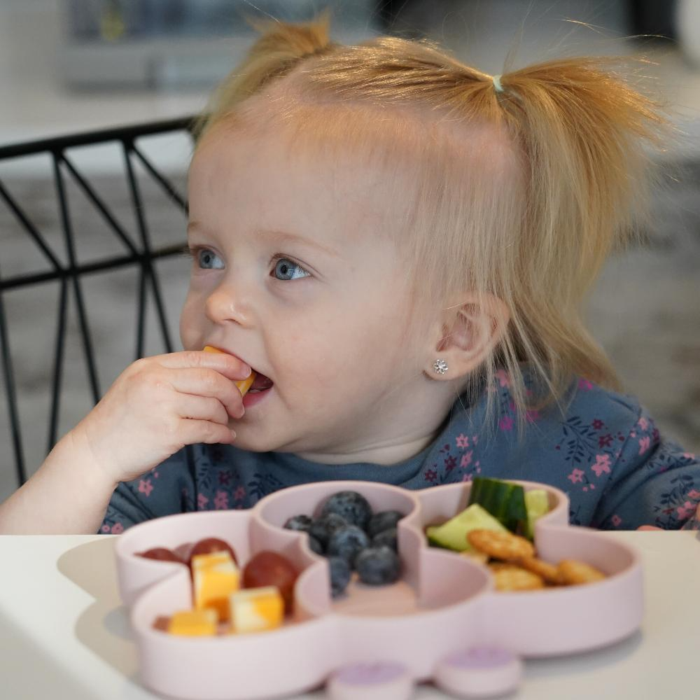 Melii-suction-plate-Butterfly-LBM1-SP-19800 (2)