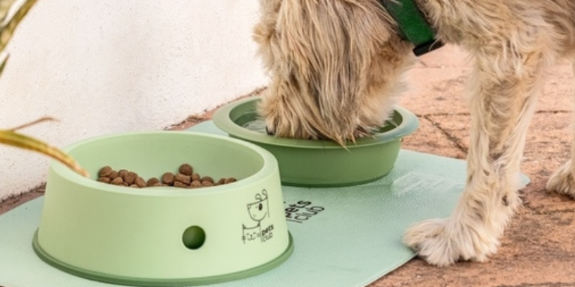 Pet Supplies | Heading Image | Product Category