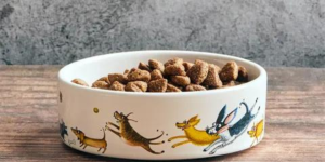 New Zealand Kitchen Products | Pet Supplies