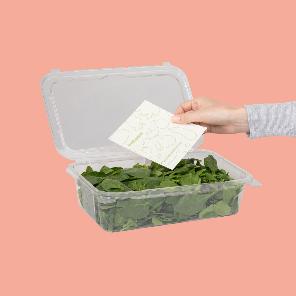 freshglow-fresh-paper-FPFPP8001 (5)