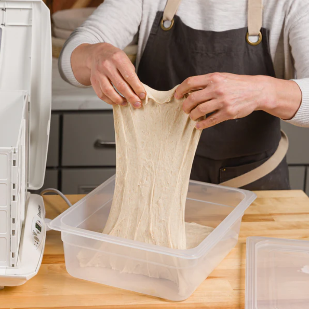 Brod & Taylor Proofing Container 6L (4)