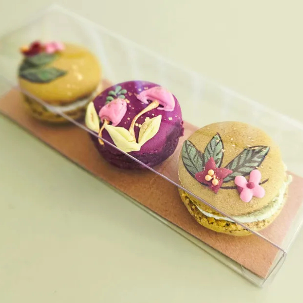 CAKE POPSICLE ACETATE BOXES 25 PIECES (1)