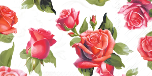 New Zealand Kitchen Products | Cocktail Napkins