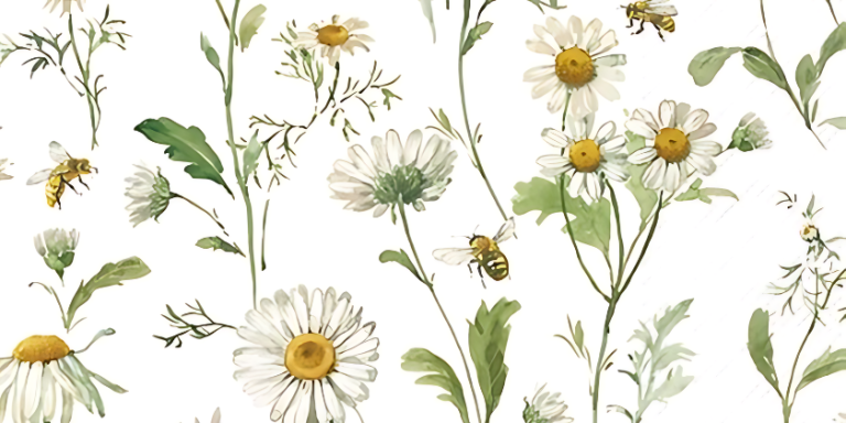 Luncheon | Heading Image | Product Category