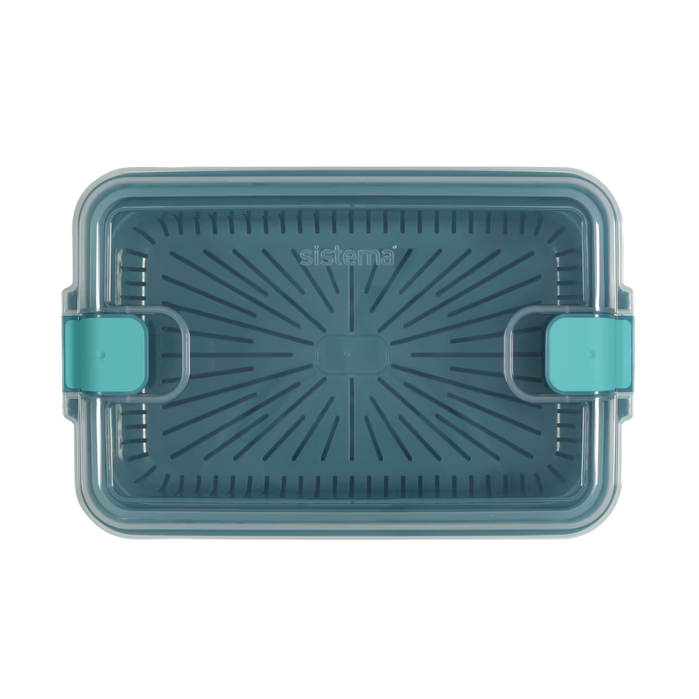 Sistema Heatables Rectangle Steamer Container 2 (11)