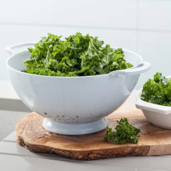 Zeal Classic Colander 24cm (5)