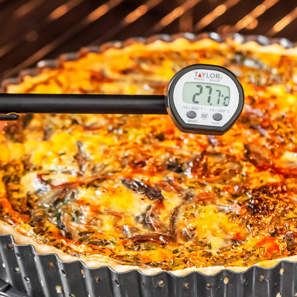 Taylor Pro High Temperature Thermometer (7)
