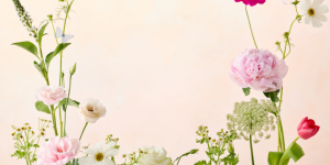 New Zealand Kitchen Products | Le Creuset Spring Sale