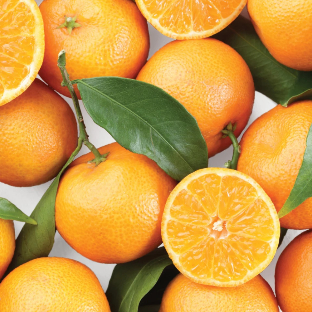 Chef’n ZeelPeel Orange Peeler (1)