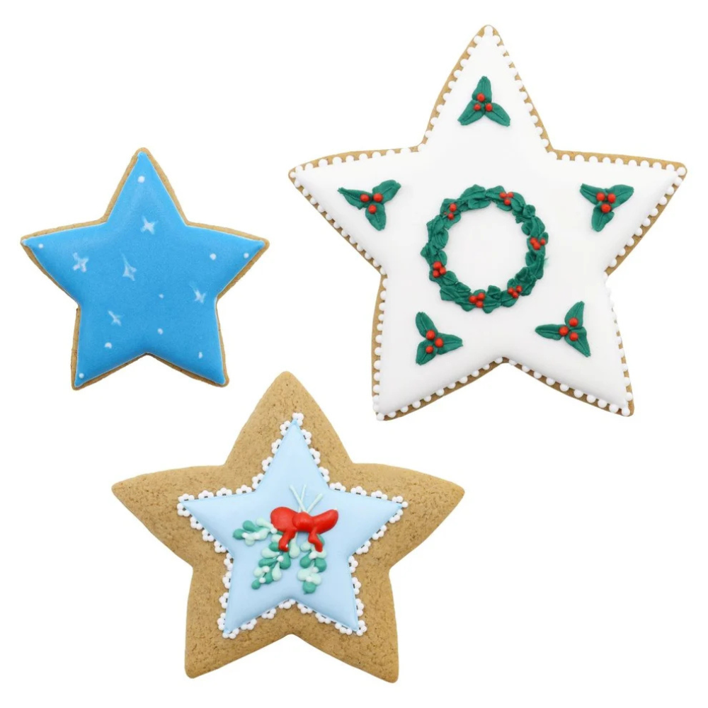 PME Christmas Stars Cookie Cutter Set of 3 (2)